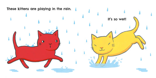 Curious Cats: Weather
