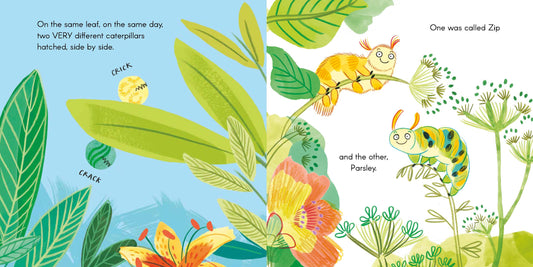 For the Love of Lettuce