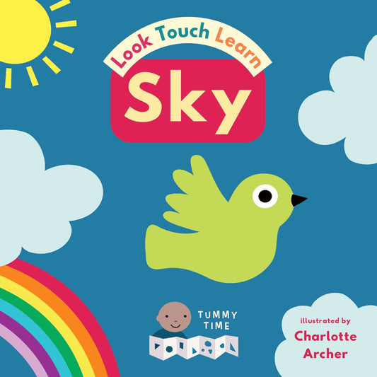 Look, Touch, Learn: Sky (A Tummy Time Book)