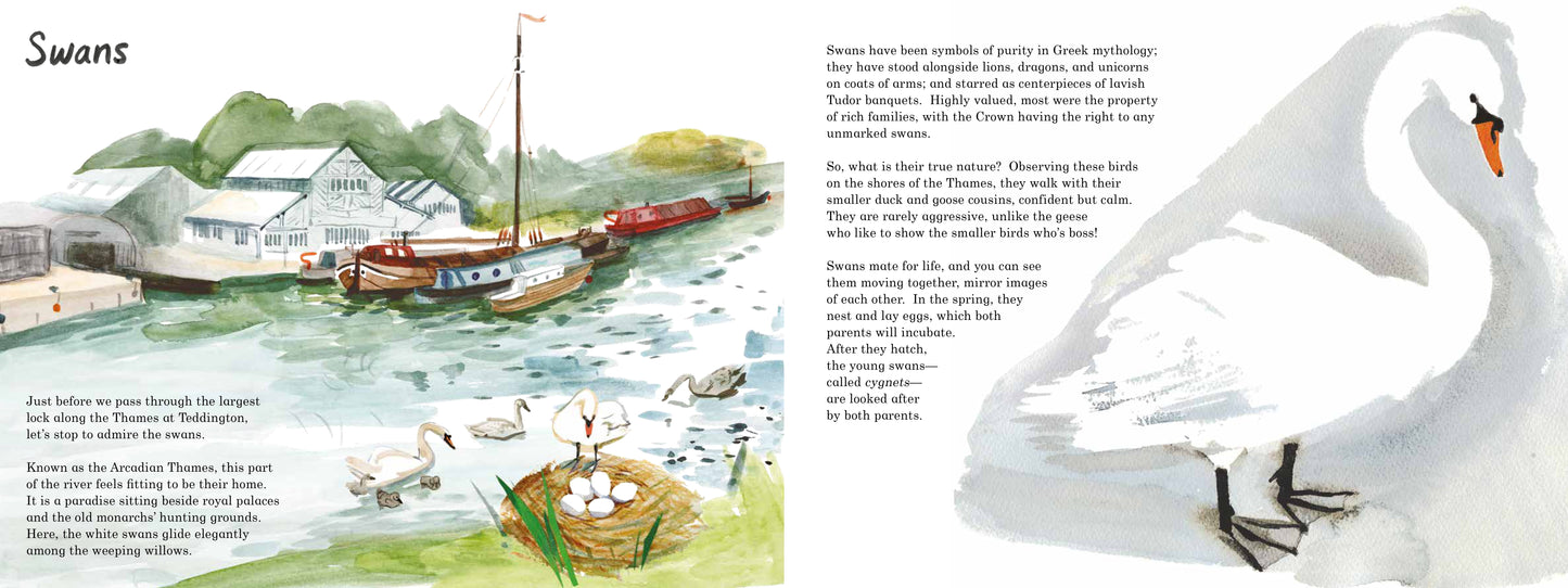 Life on the Thames (Hardcover Edition)