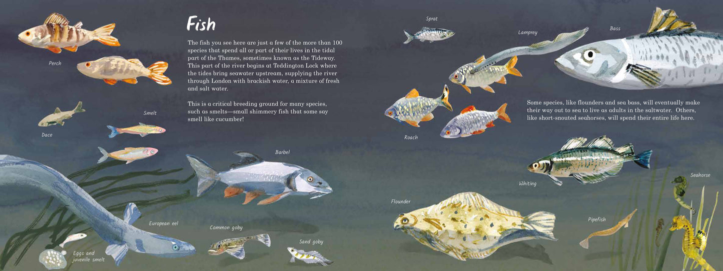 Life on the Thames (Hardcover Edition)