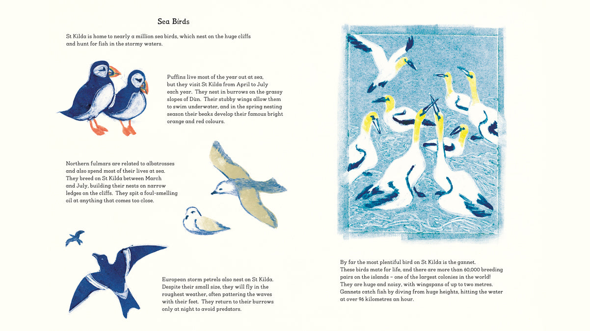 Child of St Kilda