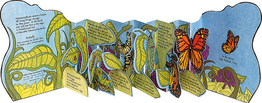 Metamorphoses: Butterfly (Standard Edition)