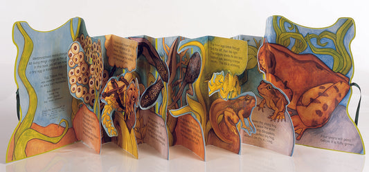 Metamorphoses: Egg, Tadpole, Frog (Standard Edition)