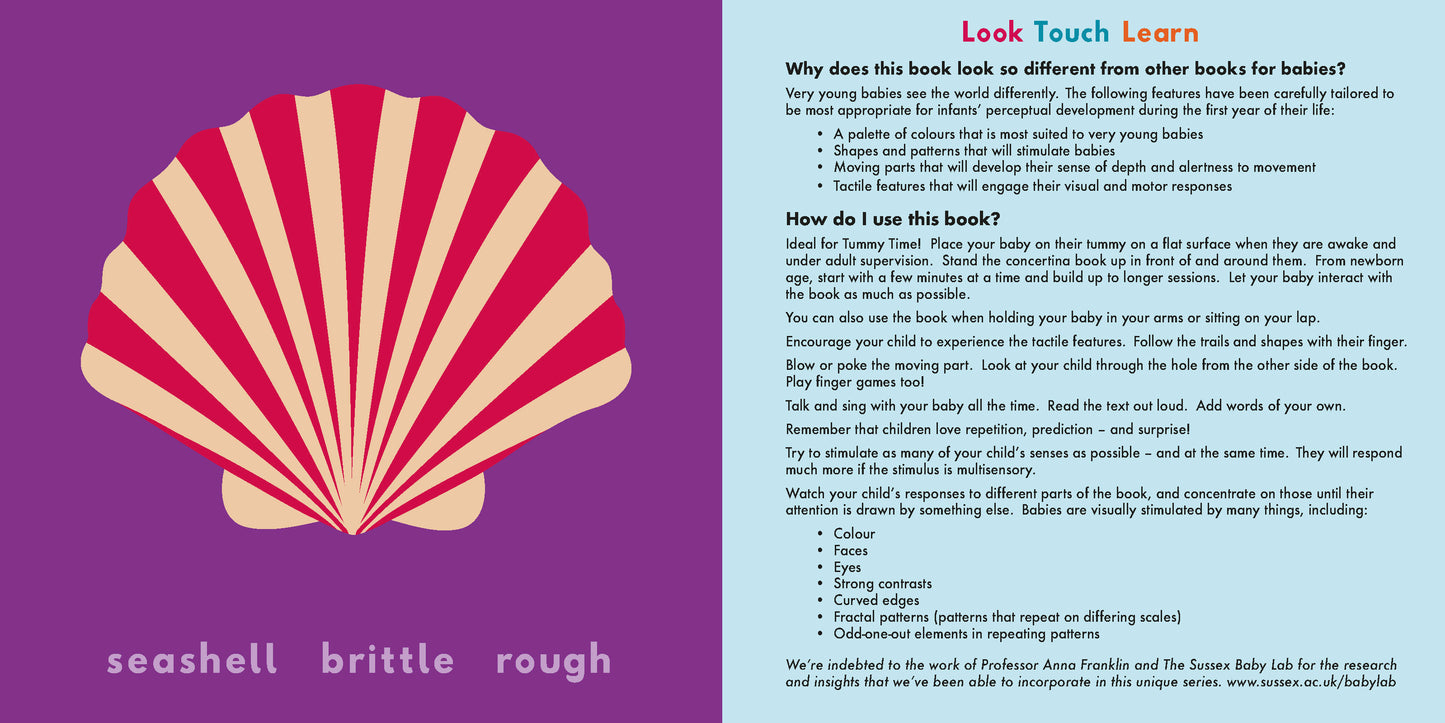Look, Touch, Learn: Sea (A Tummy Time Book with Moving Elements)