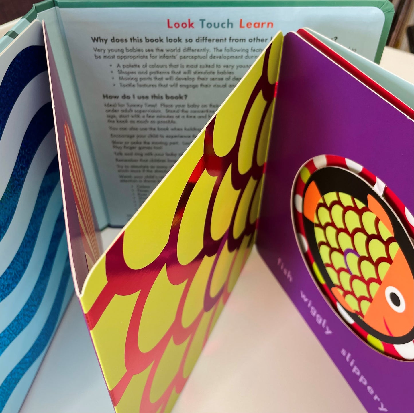 Look, Touch, Learn: Sea (A Tummy Time Book with Moving Elements)