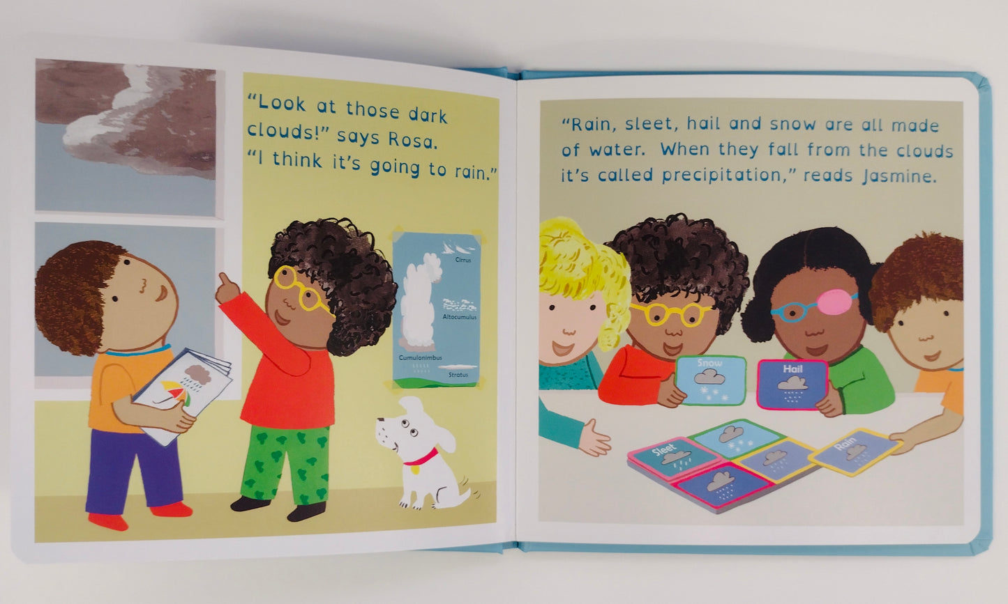 Rosa's Workshop: Rosa Explores the Water Cycle