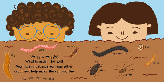 Errol's Seasons: Errol's Spring