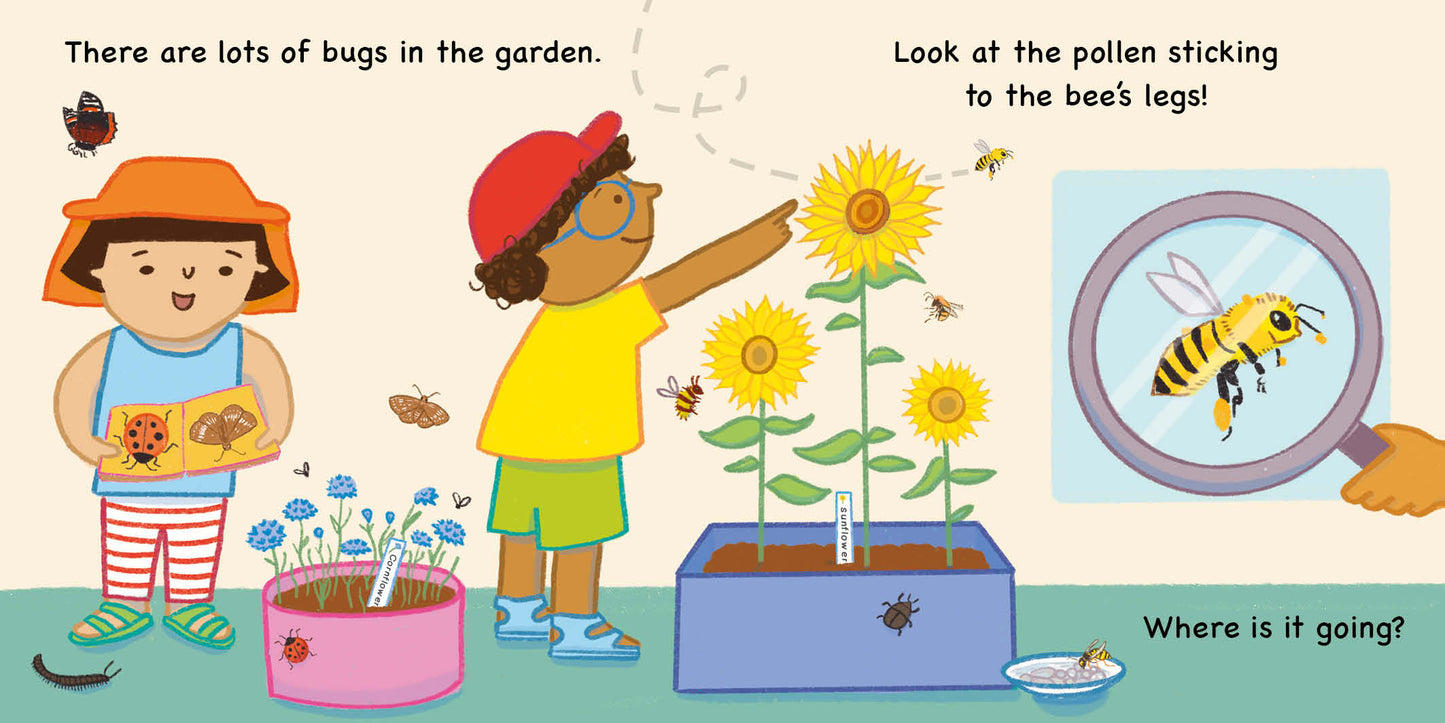 Errol's Seasons: Errol's Summer