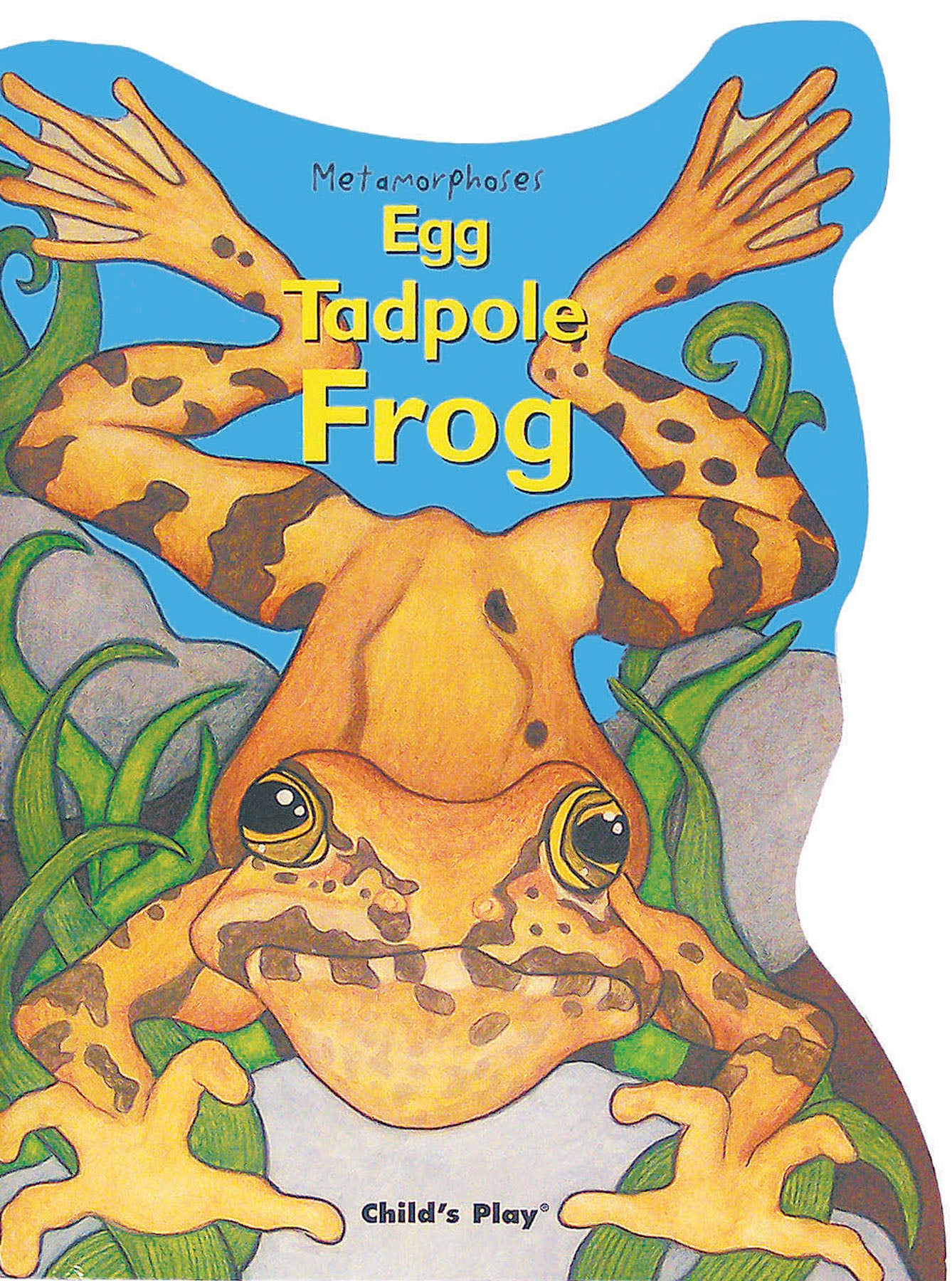 Egg, Tadpole, Frog (Standard Edition)