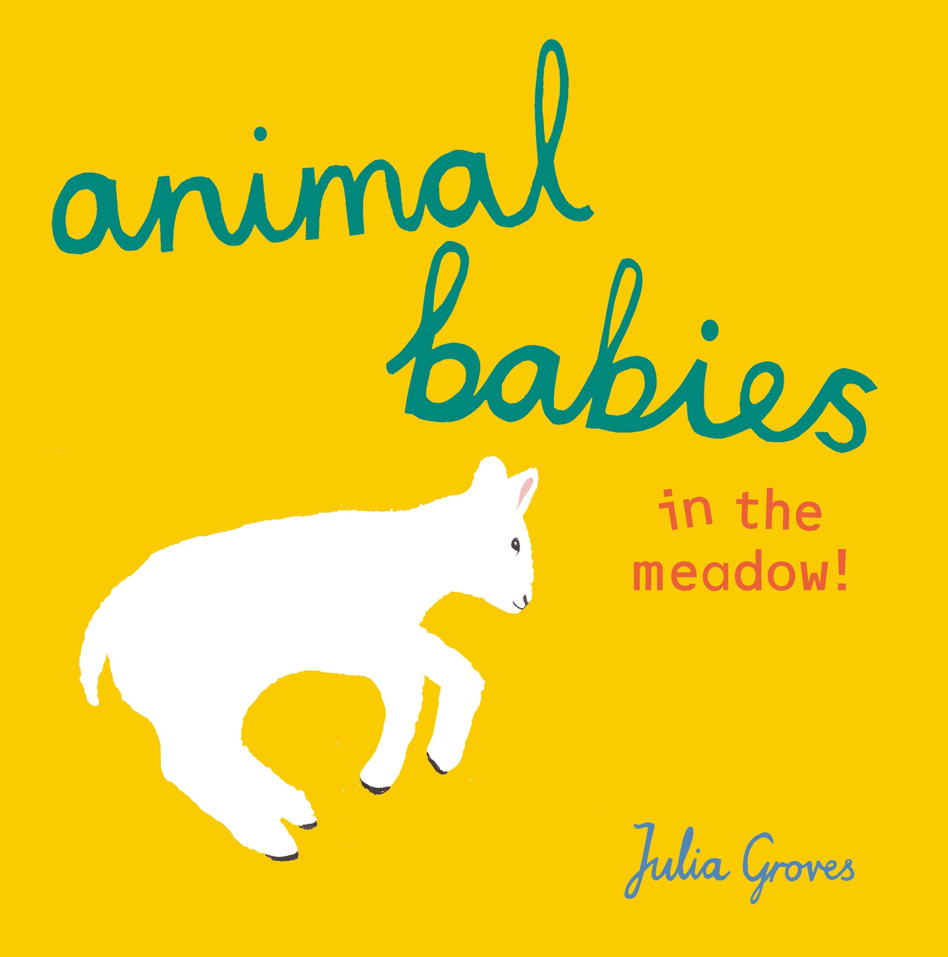 Animal Babies in the meadow!