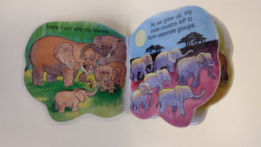 Pocket Elephant