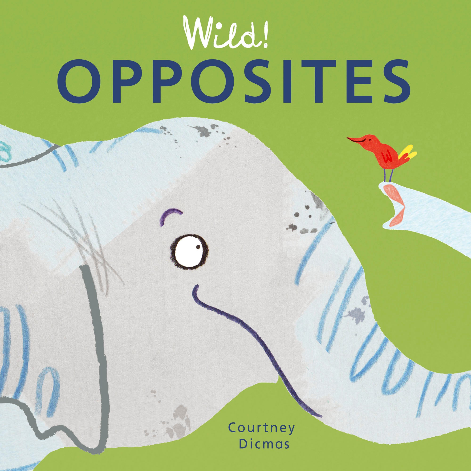 Wild! Opposites – Child's Play